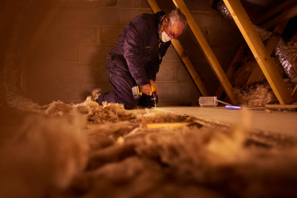 Best Commercial Insulation in Web, AL